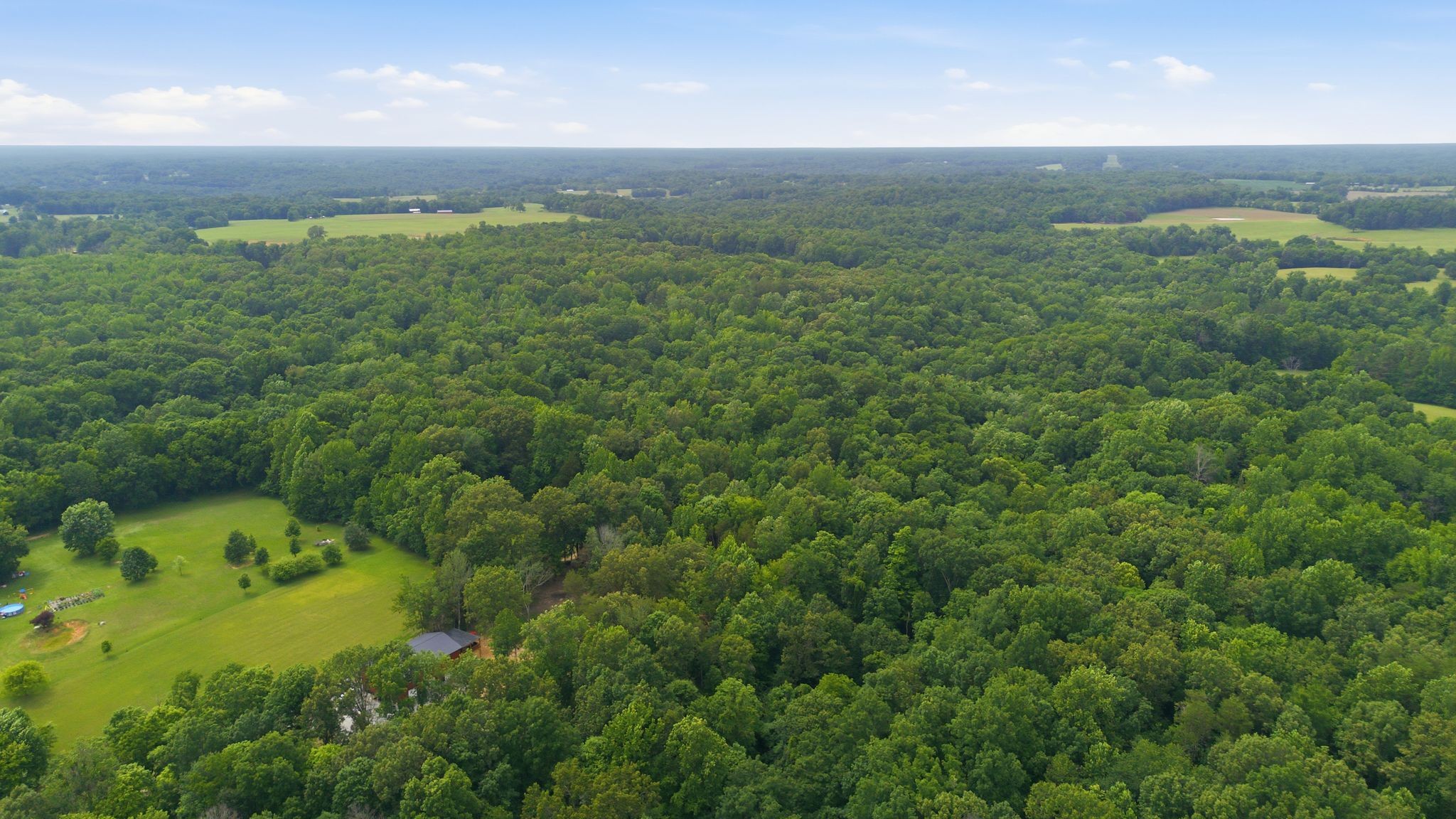 2010 Mosley Ferry Road Chapmansboro, TN 37035 - Photo 44 of 53