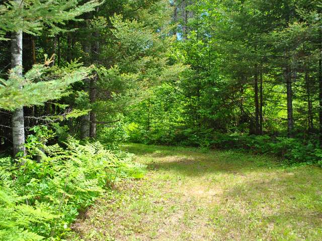 17851 Fishel Road Long Lake, WI 54542 - Photo 20 of 20 Gallery Image 20