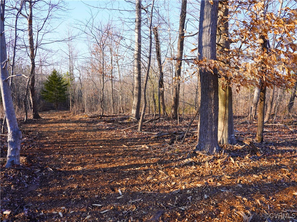 828 Windlass Road Moneta, VA 24121 - Photo 18 of 48 Gallery Image 18