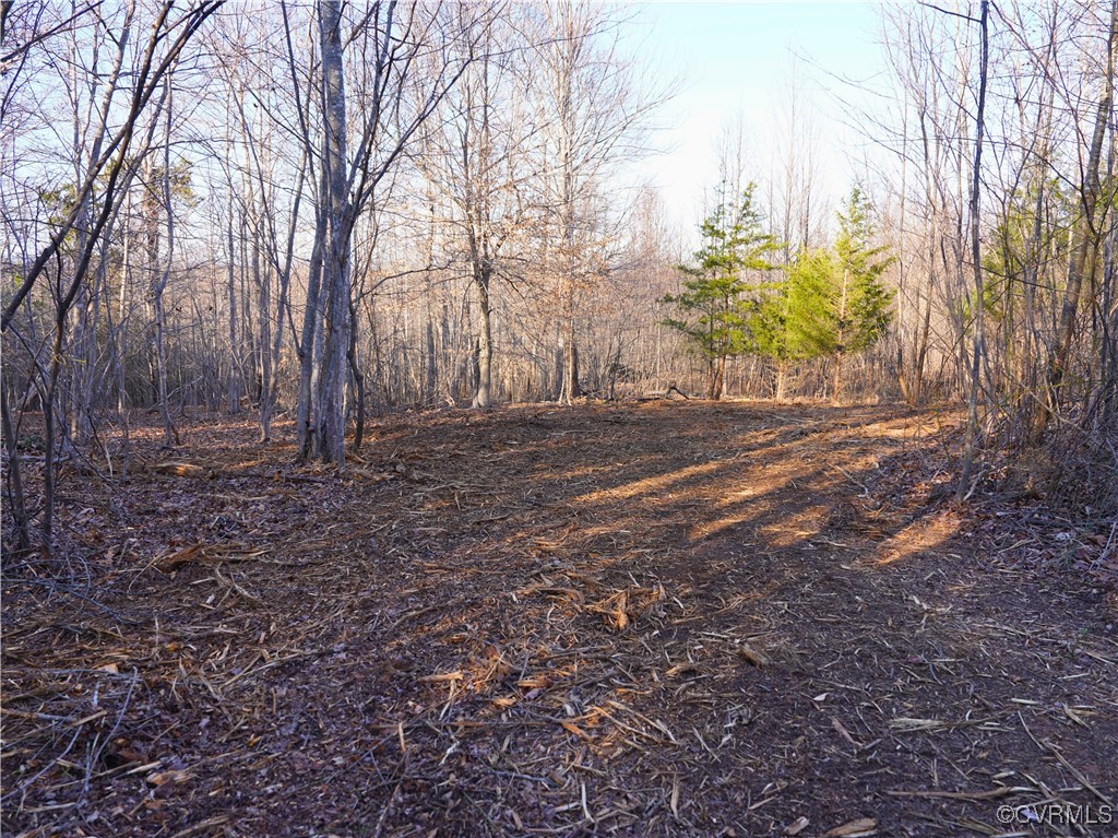 828 Windlass Road Moneta, VA 24121 - Photo 41 of 48 Gallery Image 41