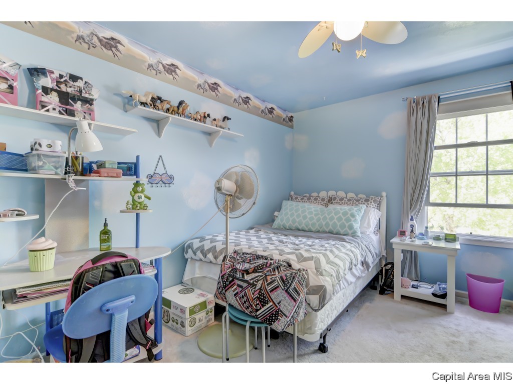 3708 Carney Boulevard Springfield, IL 62712 - Photo 21 of 34 Gallery Image 21