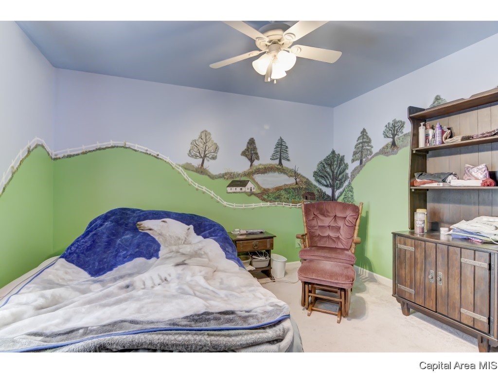 3708 Carney Boulevard Springfield, IL 62712 - Photo 23 of 34 Gallery Image 23