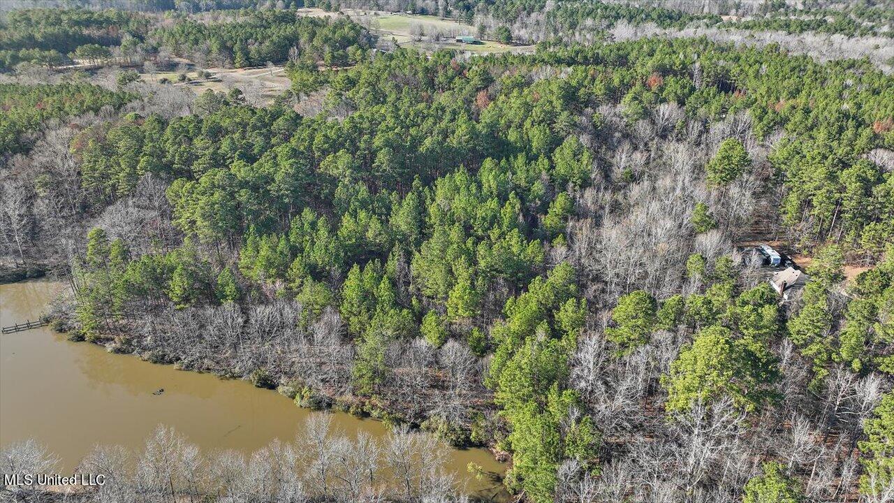 1074 Ridgeside Drive Brandon, MS 39042 - Photo 9 of 30 07-1074 Ridgeside Dr
