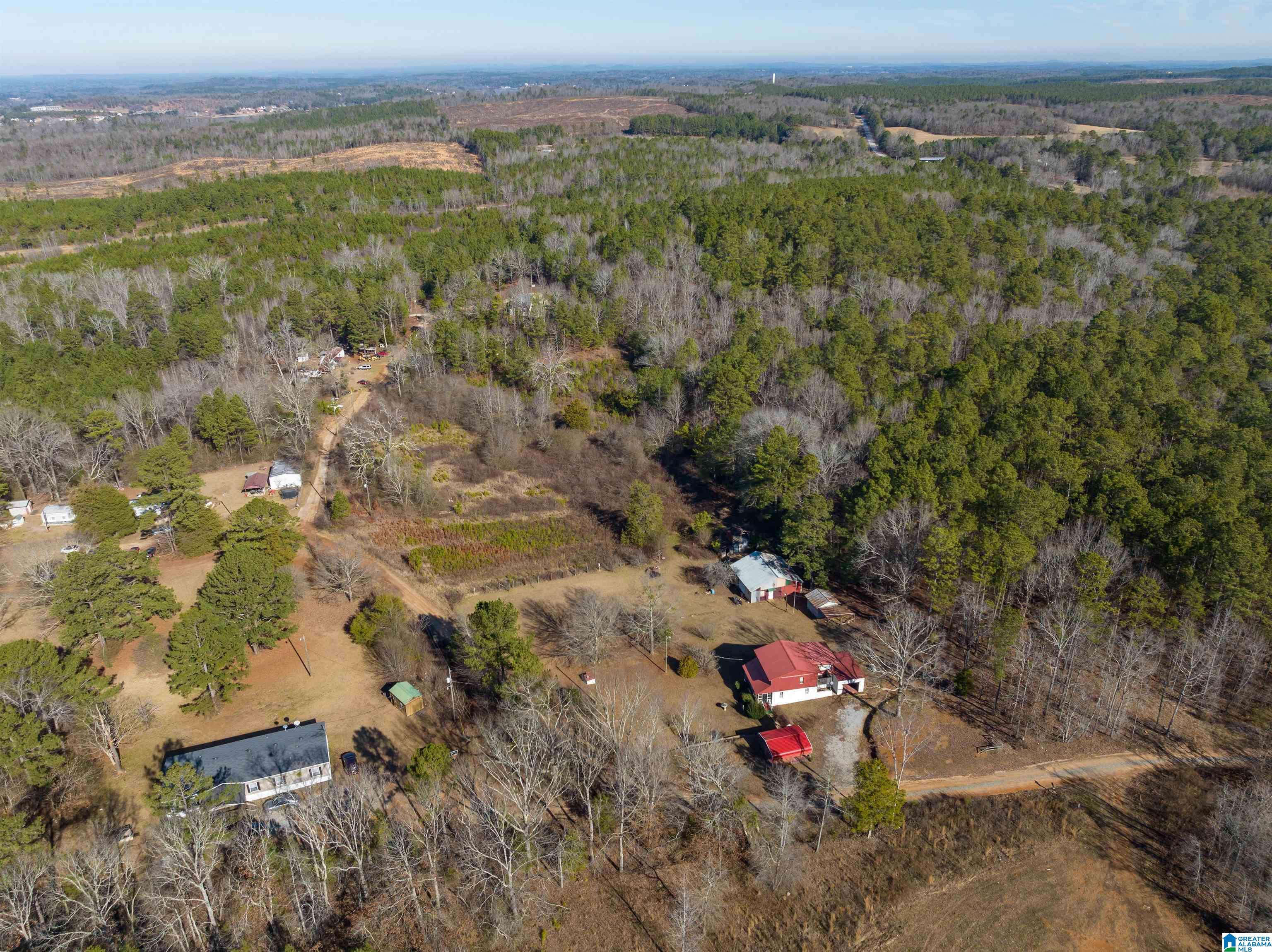 242 Strong Road Talladega, AL 35160 - Photo 34 of 51