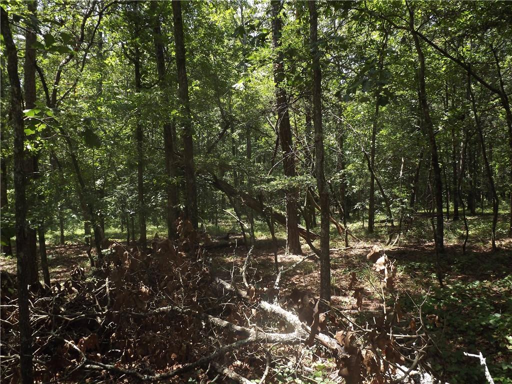 0 George Road Southwest Cave Spring, GA 30124 - Photo 20 of 22