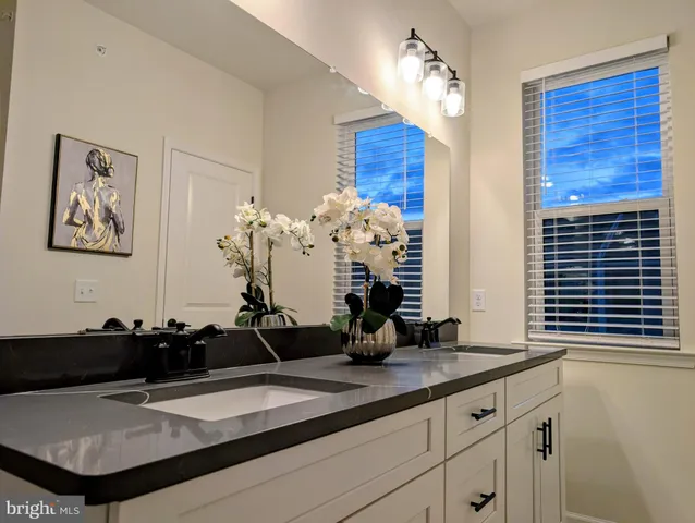 a bathroom with a sink a mirror and a potted plant