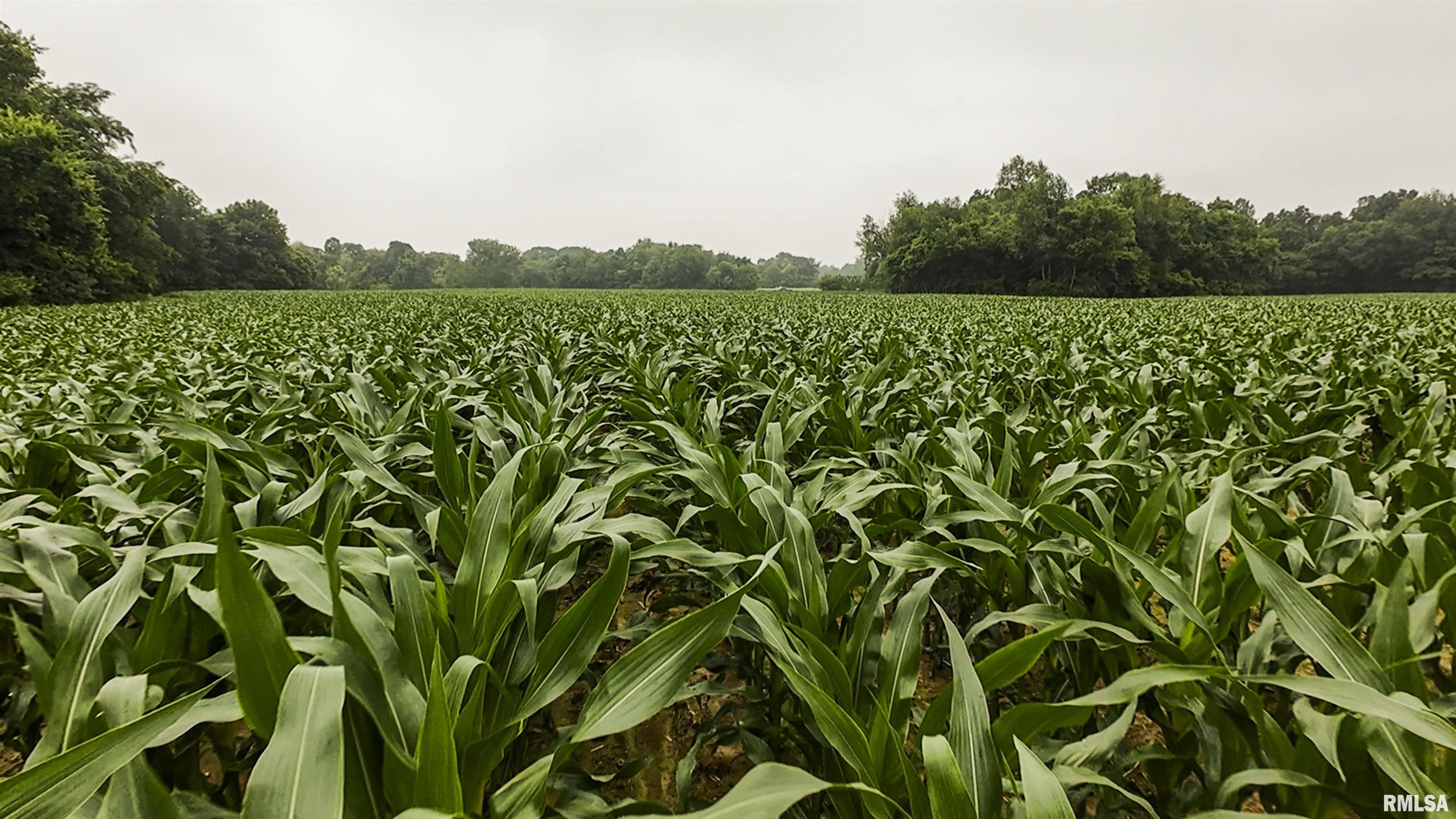 0 West Timber Road Mapleton, IL 61547 - Photo 15 of 56