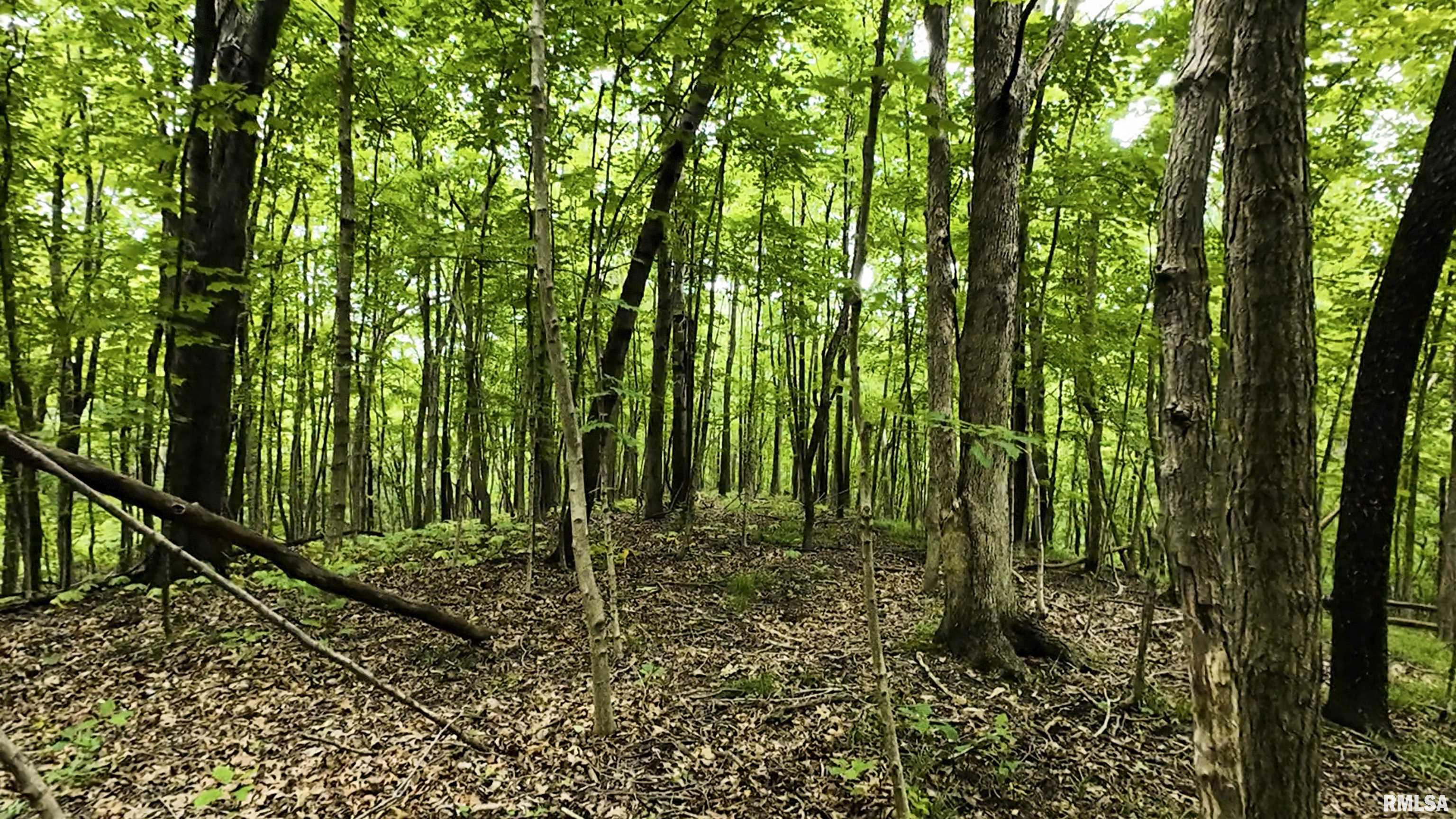 0 West Timber Road Mapleton, IL 61547 - Photo 16 of 56