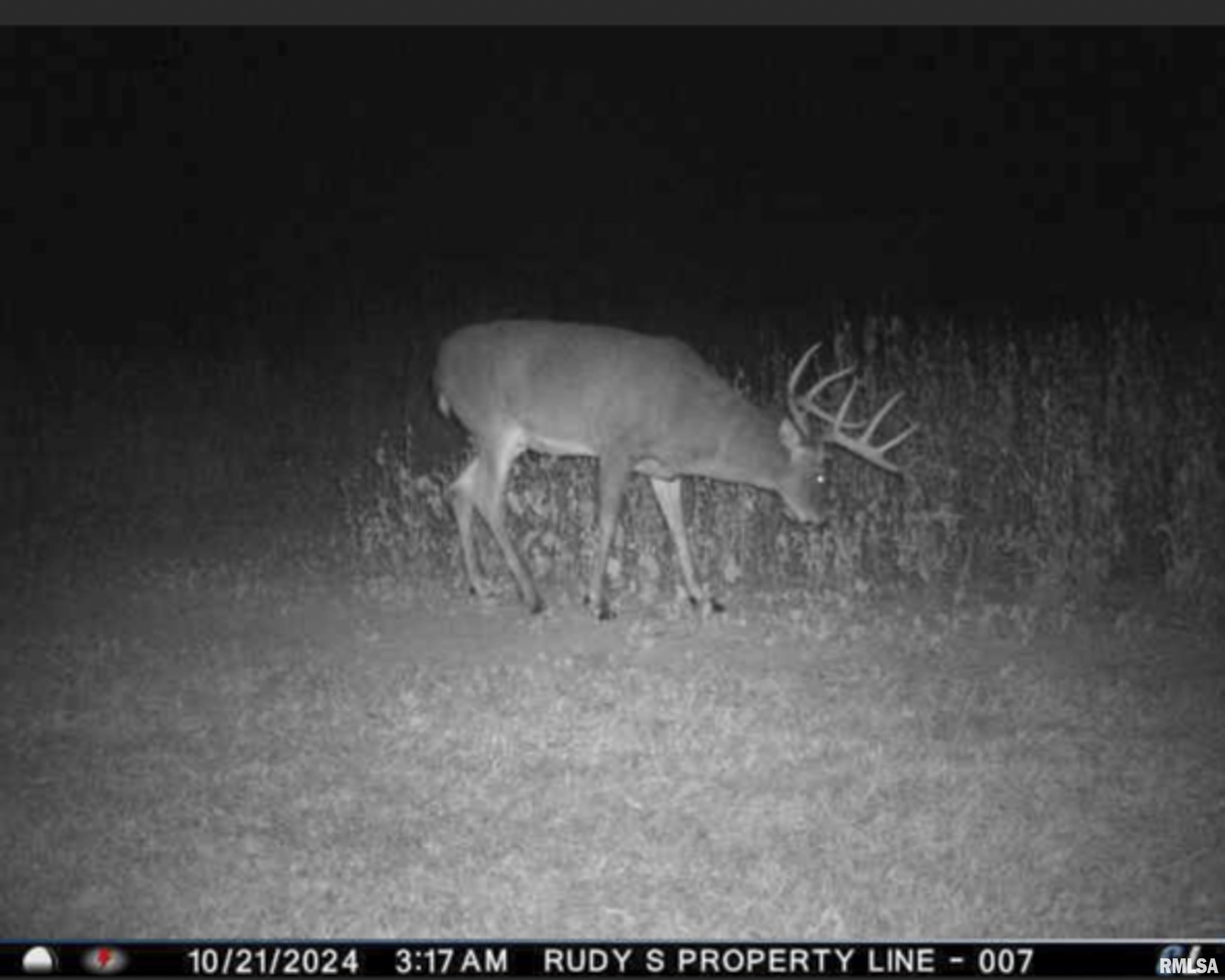 0 West Timber Road Mapleton, IL 61547 - Photo 33 of 56