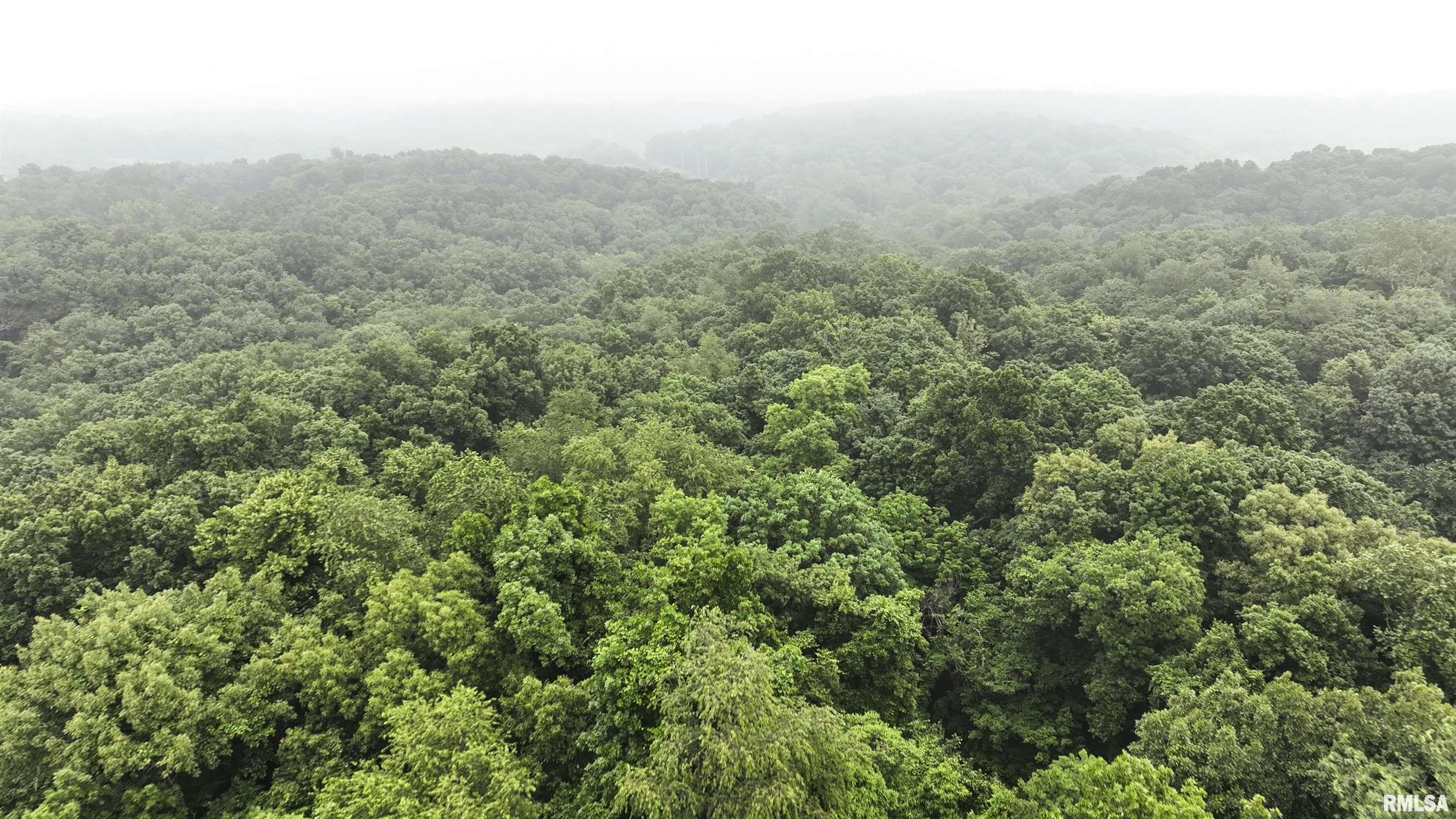 0 West Timber Road Mapleton, IL 61547 - Photo 4 of 56