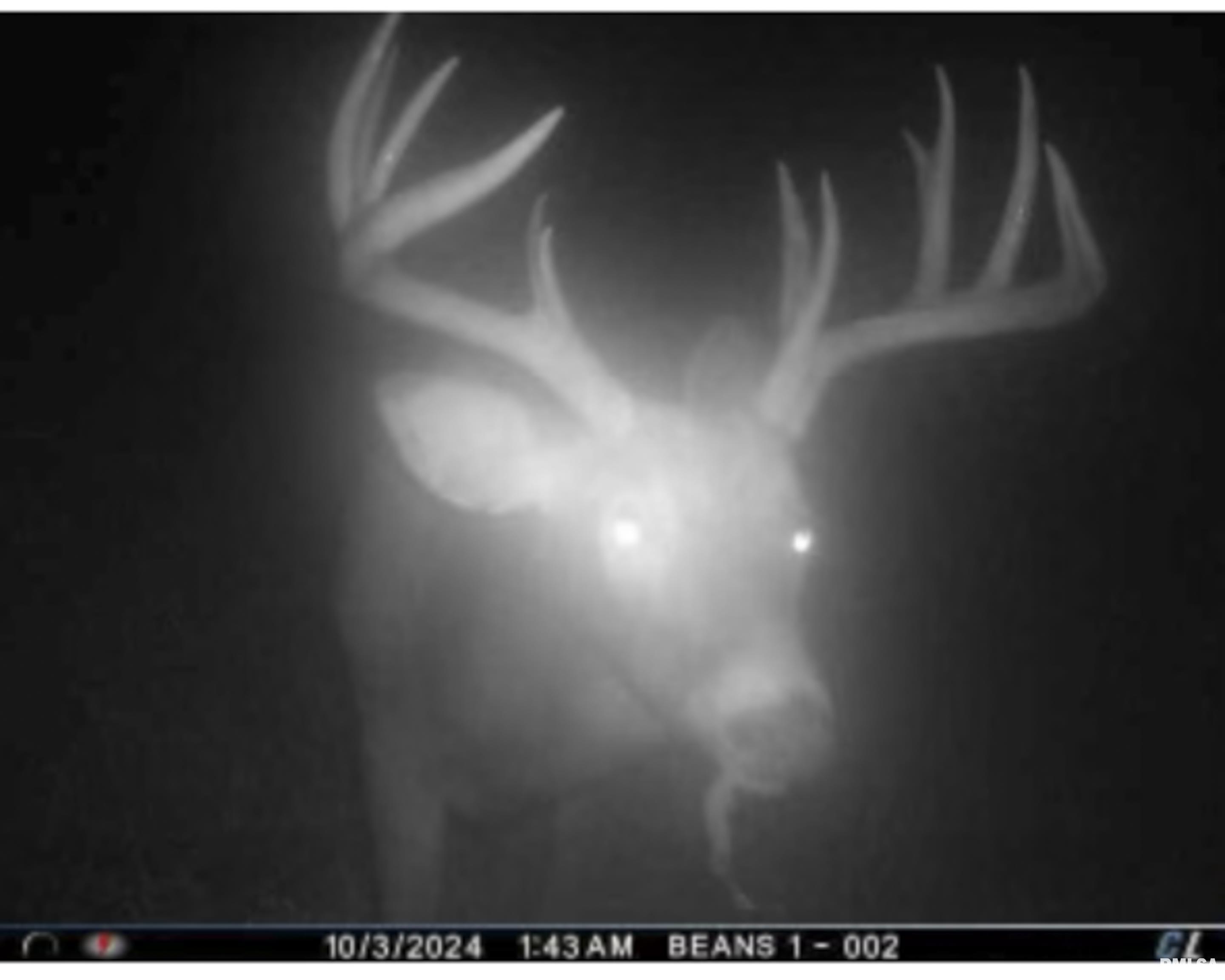 0 West Timber Road Mapleton, IL 61547 - Photo 43 of 56