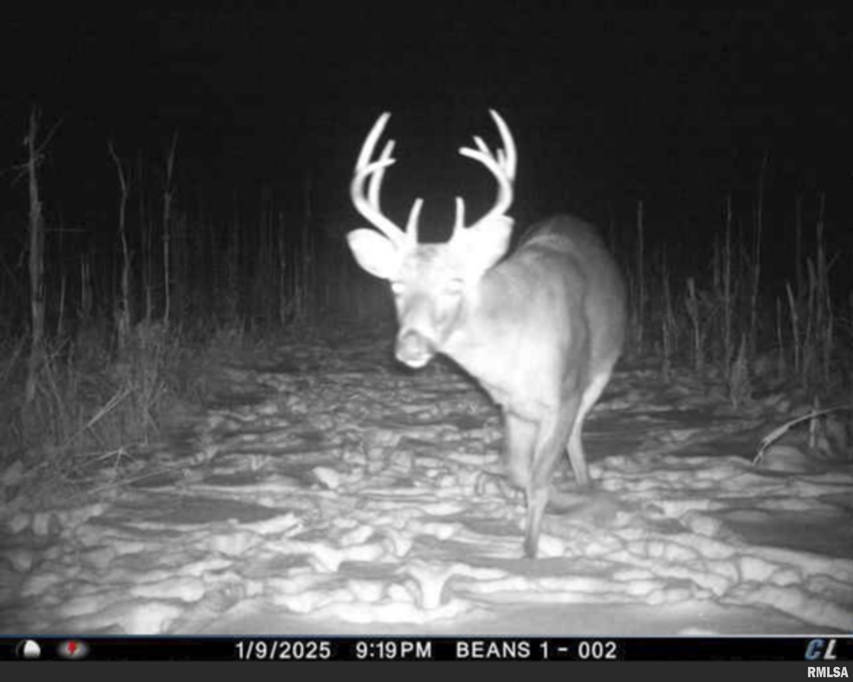 0 West Timber Road Mapleton, IL 61547 - Photo 47 of 56