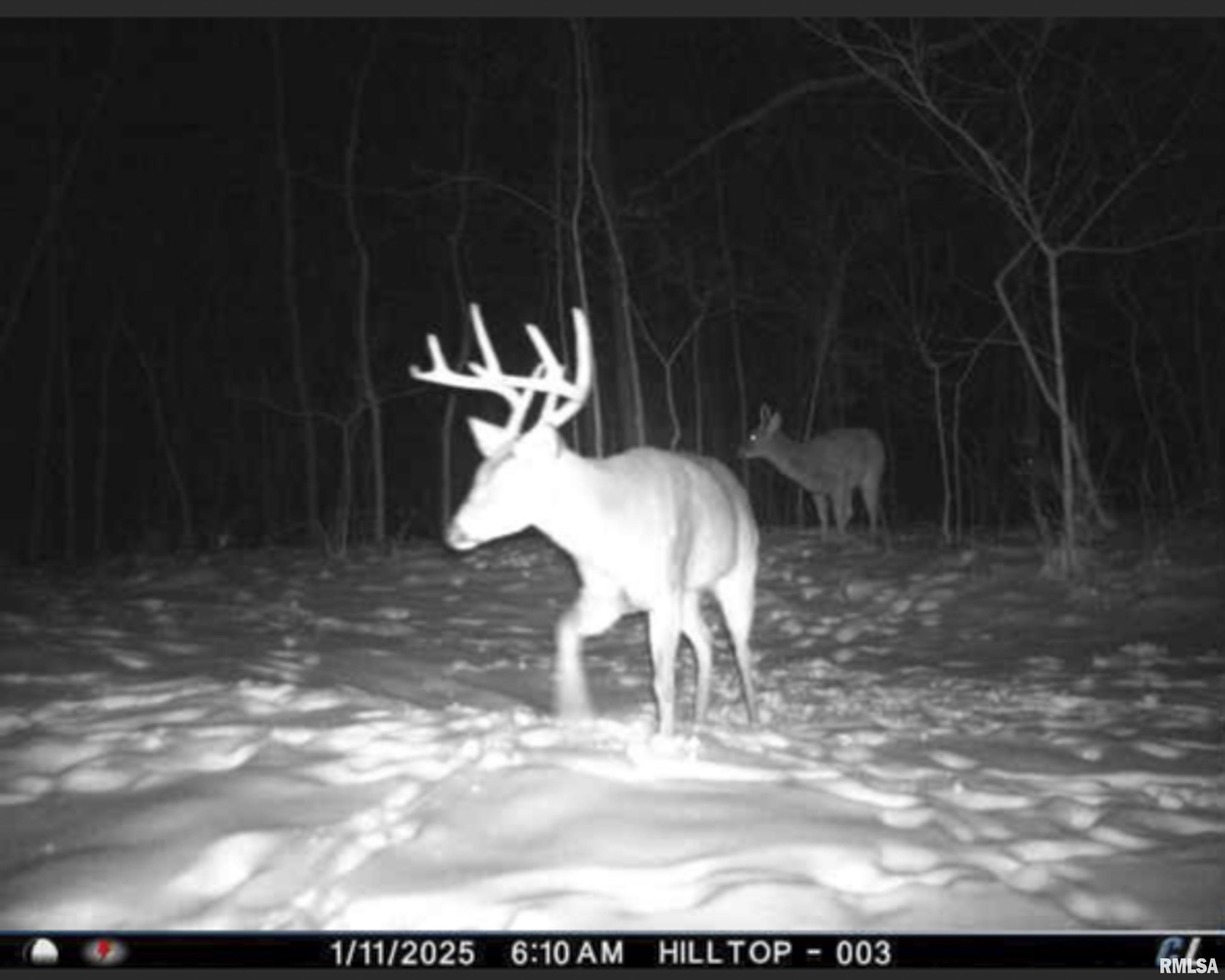 0 West Timber Road Mapleton, IL 61547 - Photo 48 of 56