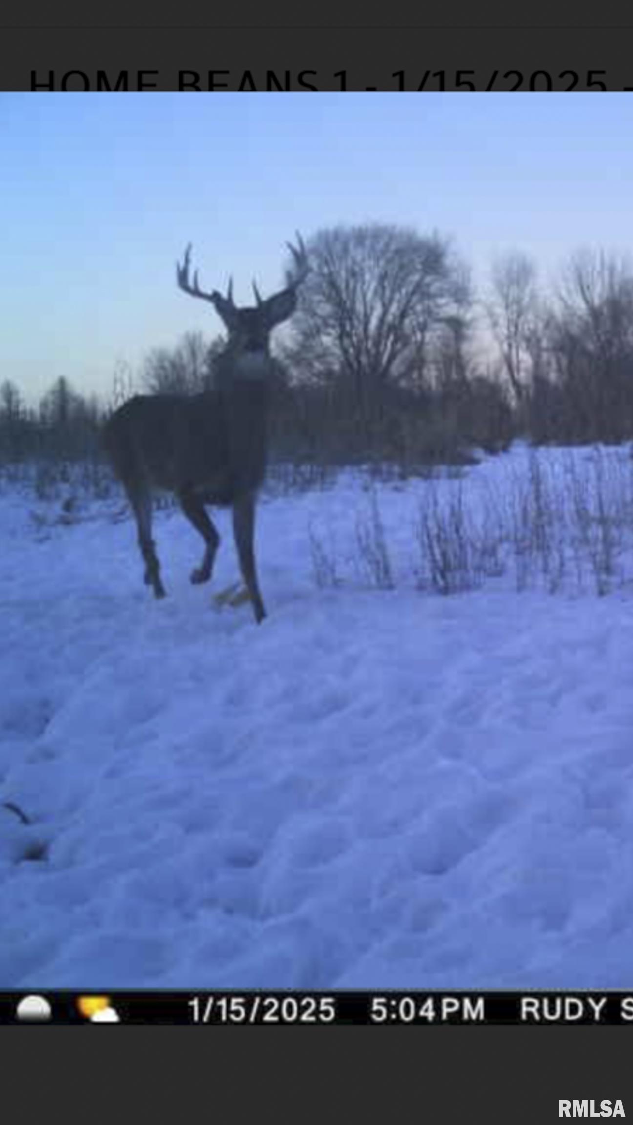 0 West Timber Road Mapleton, IL 61547 - Photo 49 of 56