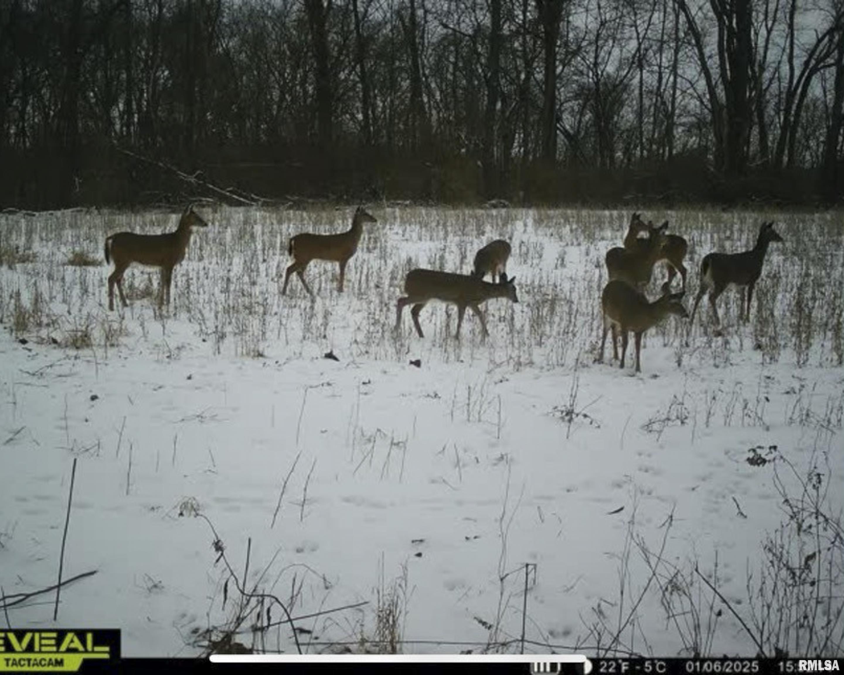 0 West Timber Road Mapleton, IL 61547 - Photo 56 of 56