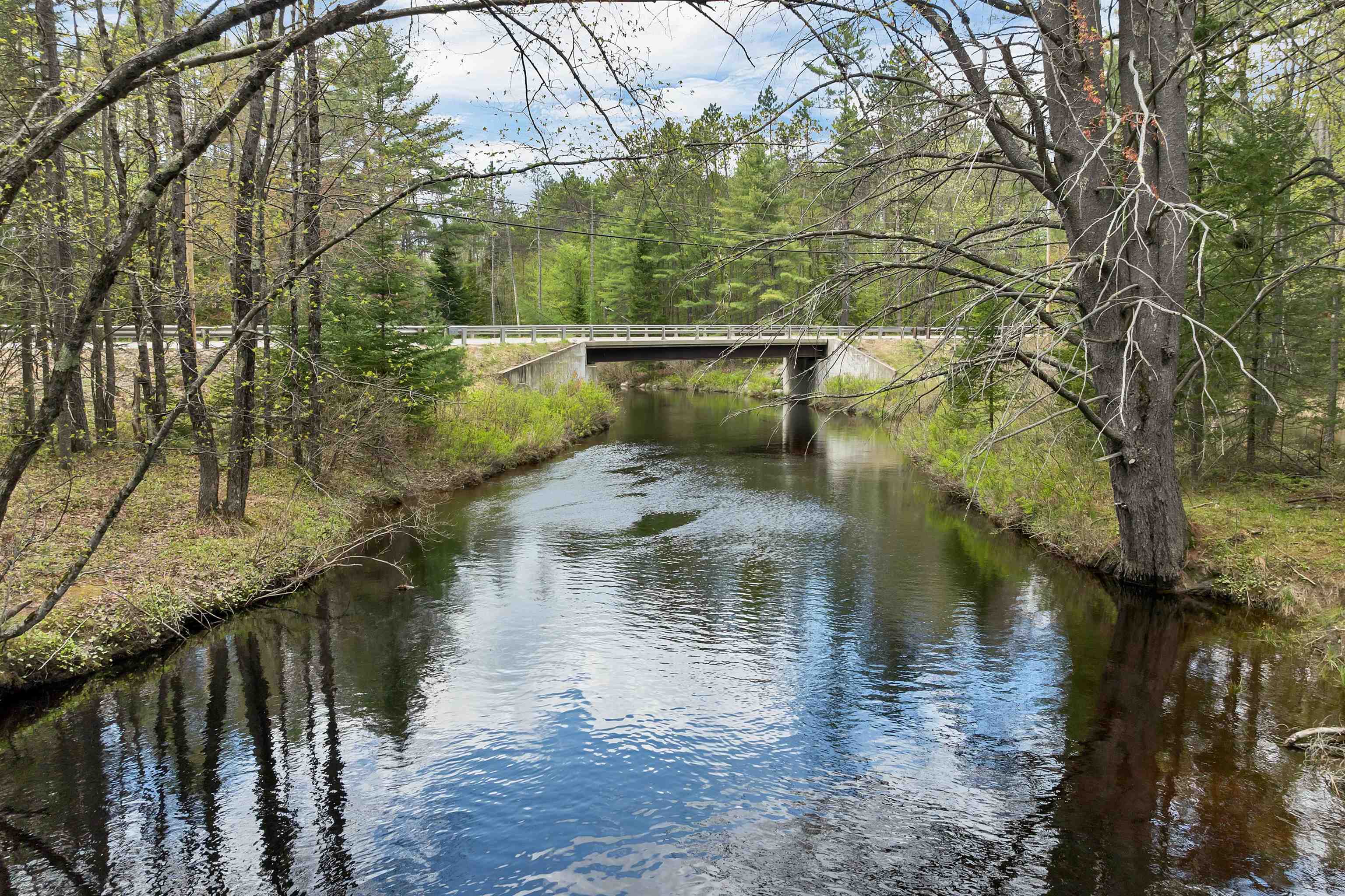 65 Green Mountain Road Effingham, NH 03882 - Photo 4 of 45
