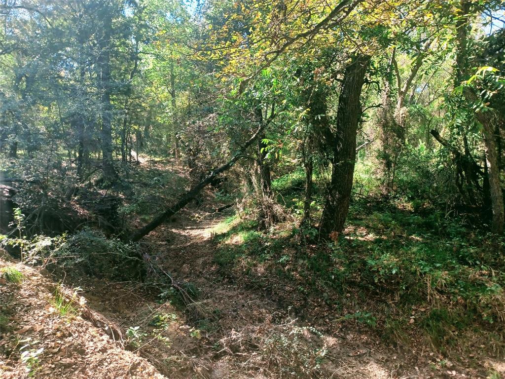 1379 Alto Road Seagoville, TX 75159 - Photo 7 of 10 Rear of property heavily wooded at dry creek bed.