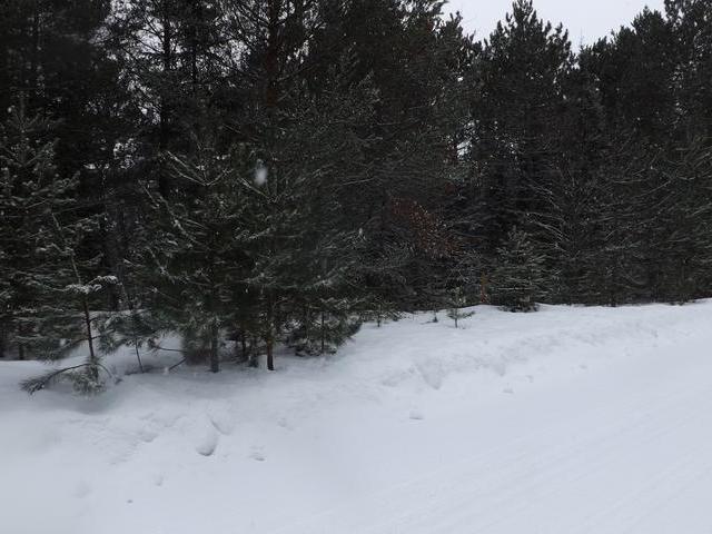 On Dyer Road, Unit LOT 12 Eagle River, WI 54521 - Photo 1 of 4 Gallery Image 1