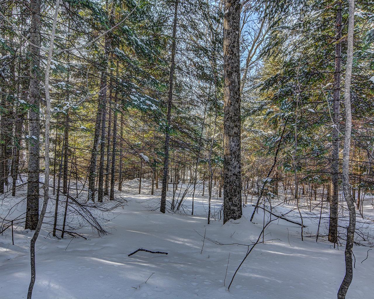 On Nicolet Shores Road Phelps, WI 54554 - Photo 8 of 17 Gallery Image 8