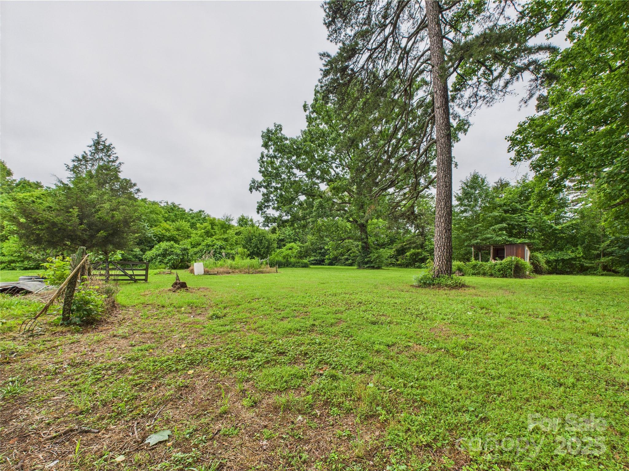 3055 16th Street Northeast Hickory, NC 28601 - Photo 27 of 46 a view of a grassy field with trees
