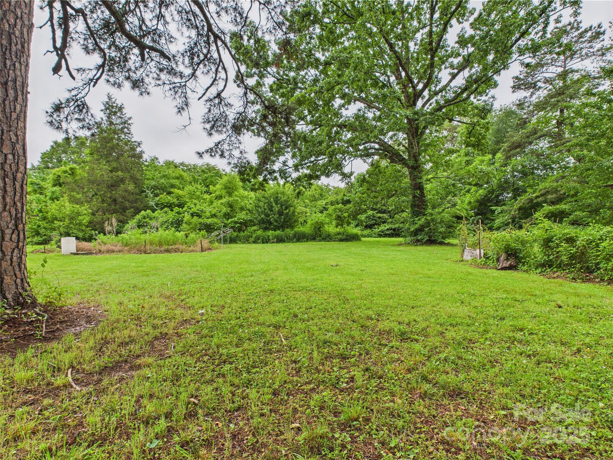3055 16th Street Northeast Hickory, NC 28601 - Photo 29 of 46 a view of yard with green space