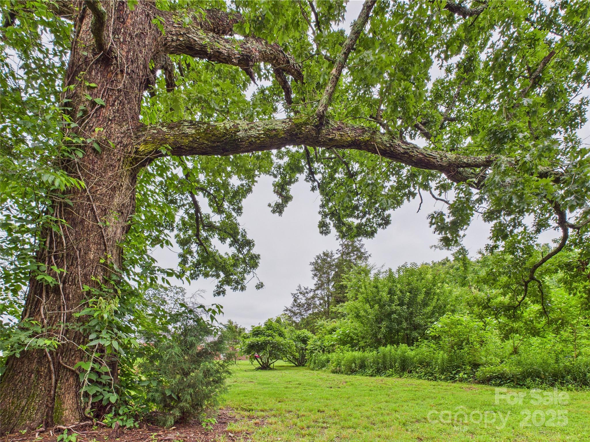 3055 16th Street Northeast Hickory, NC 28601 - Photo 32 of 46 a view of lake from a yard