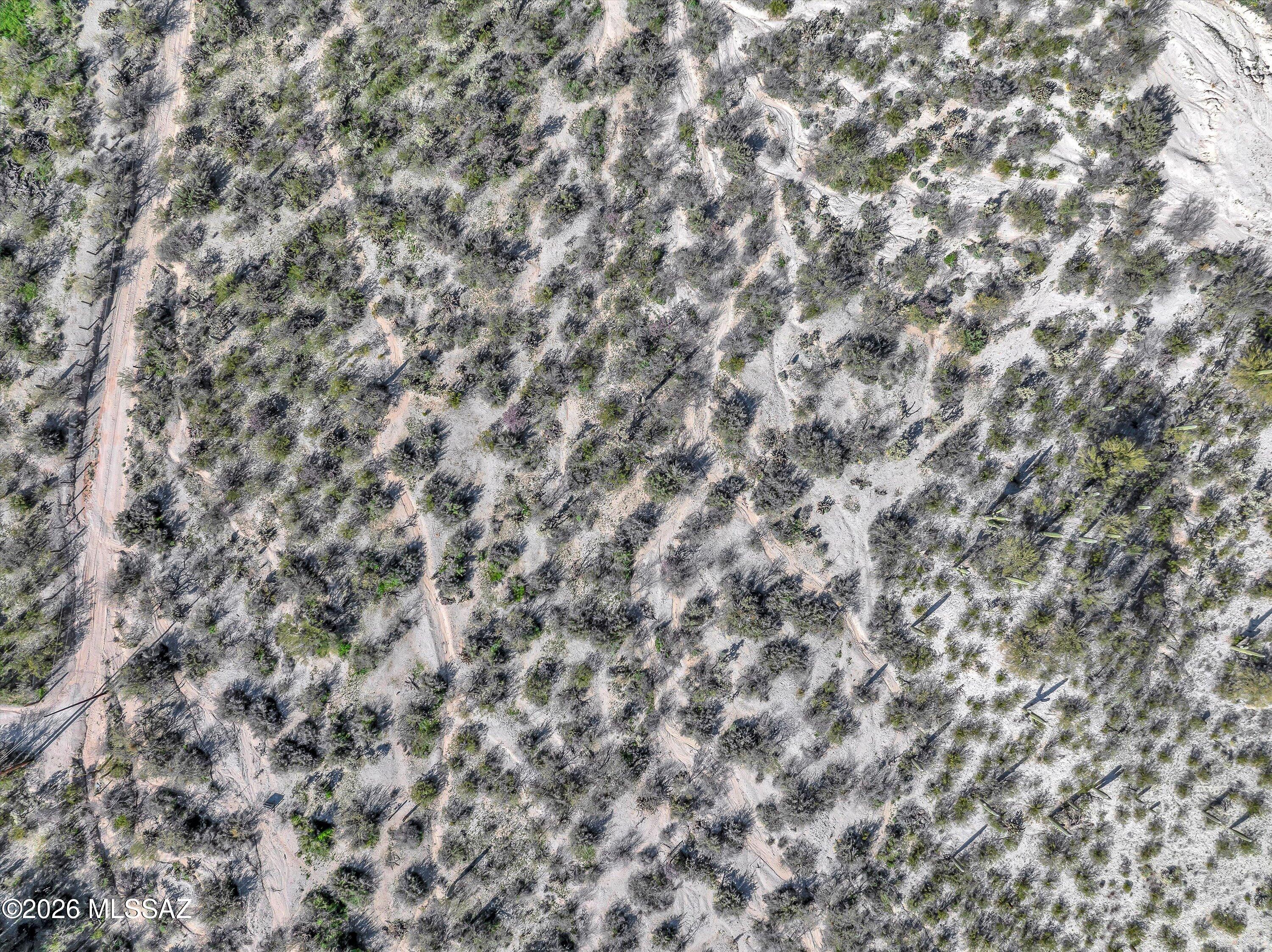 5255 South Perlita Road Tucson, AZ 85747 - Photo 41 of 44