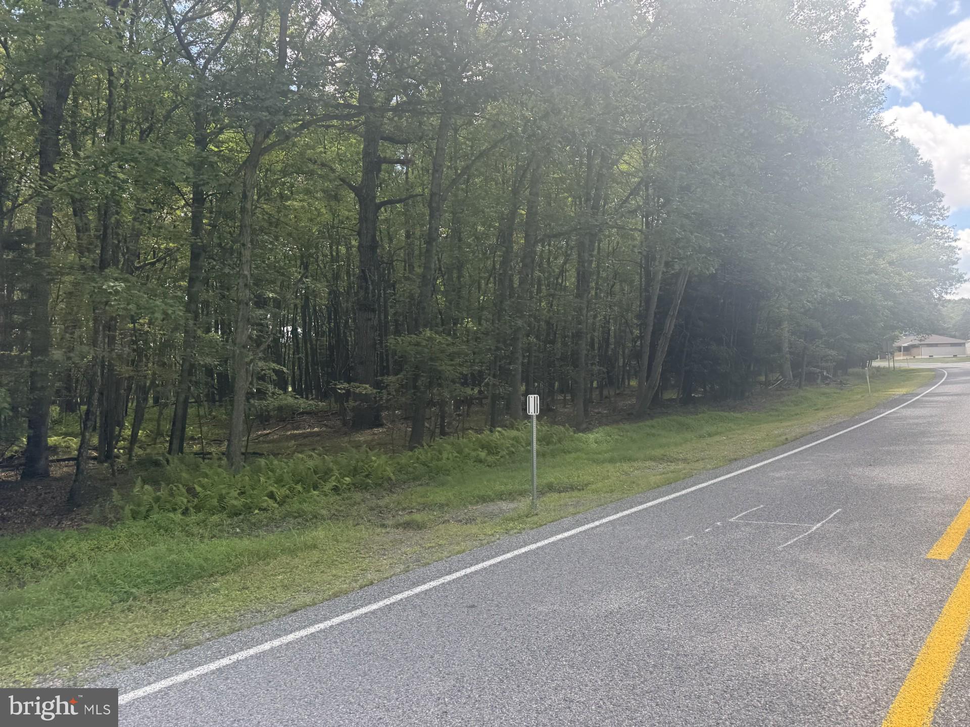 0 4th Street McAdoo, PA 18237 - Photo 3 of 3 a view of outdoor space and yard