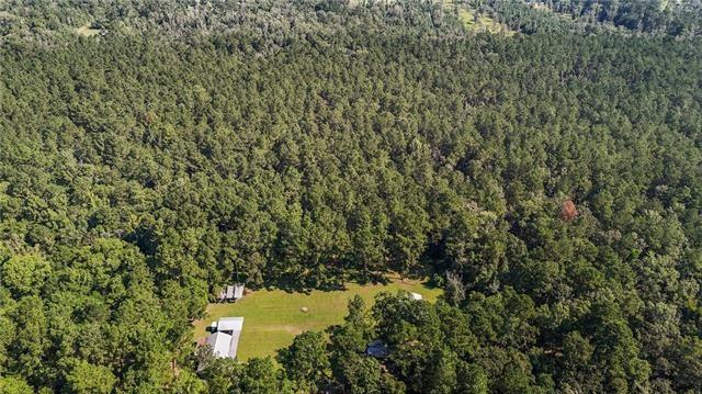 27499 Turkey Creek Road Independence, LA 70443 - Photo 26 of 28