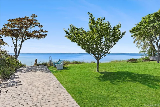 a view of a garden with an tree