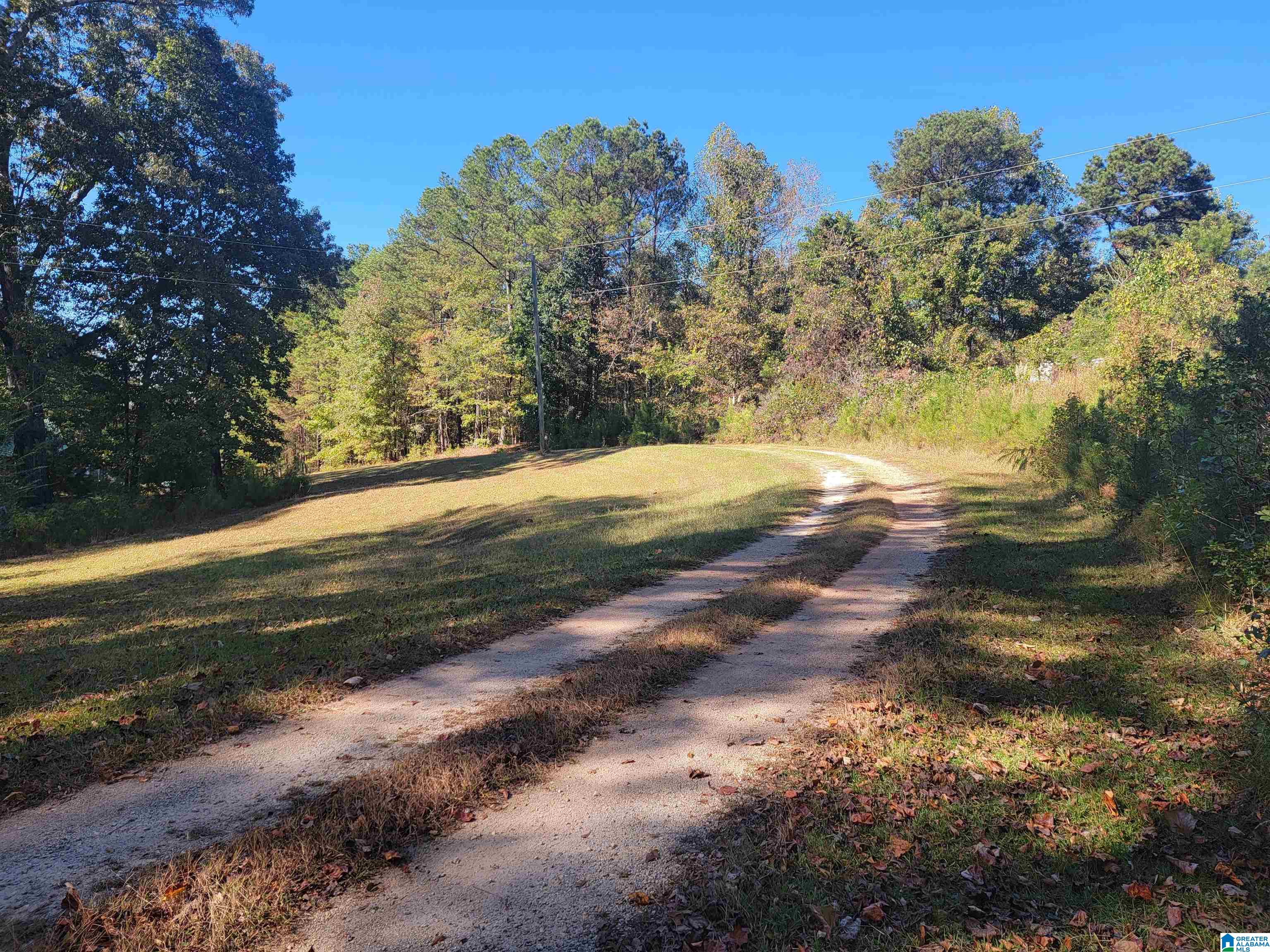 3156 Louina Road Roanoke, AL 36274 - Photo 33 of 37