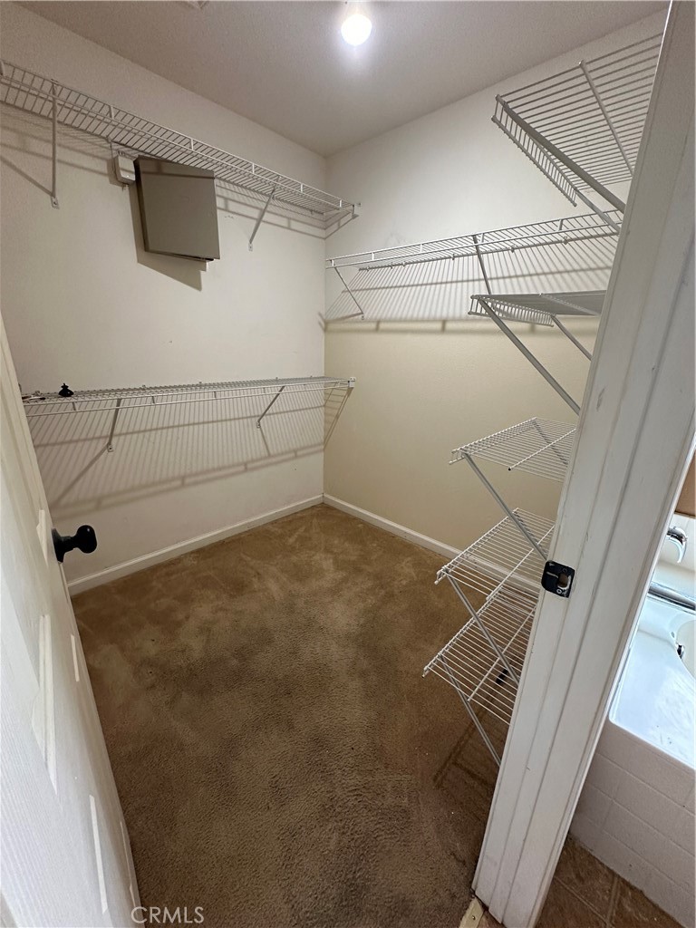 491 Hydrangea Court Merced, CA 95341 - Photo 20 of 25 Primary Closet