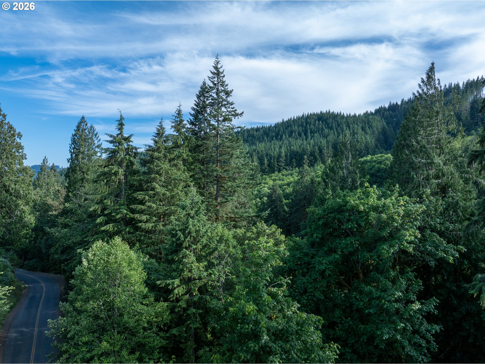 0 North Dubois Road Ariel, WA 98603 - Photo 10 of 19