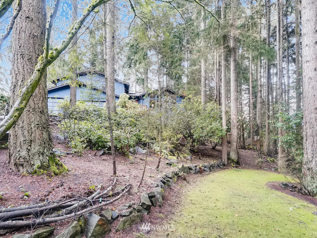 20931 29th Avenue Southeast Bothell, WA 98021 - Photo 3 of 32 a view of a yard with plants and trees