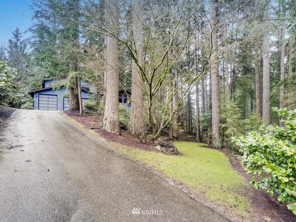 20931 29th Avenue Southeast Bothell, WA 98021 - Photo 4 of 32 a view of a backyard with plants and large trees
