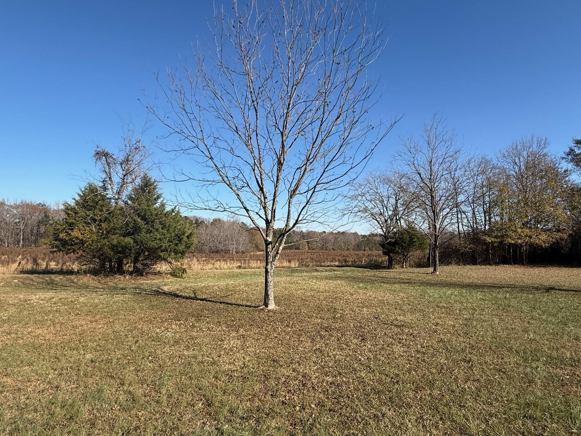 1293 Old Metal Road Gaffney, SC 29341 - Photo 36 of 41