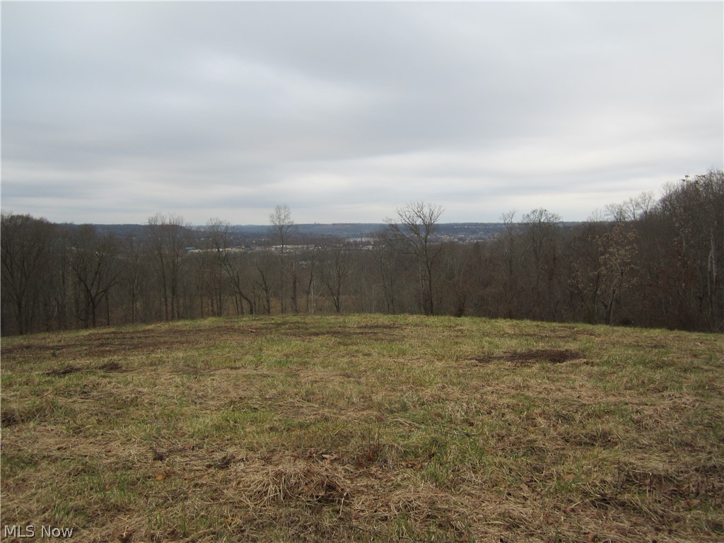 Goose Run Road Marietta, OH 45750 - Photo 8 of 15