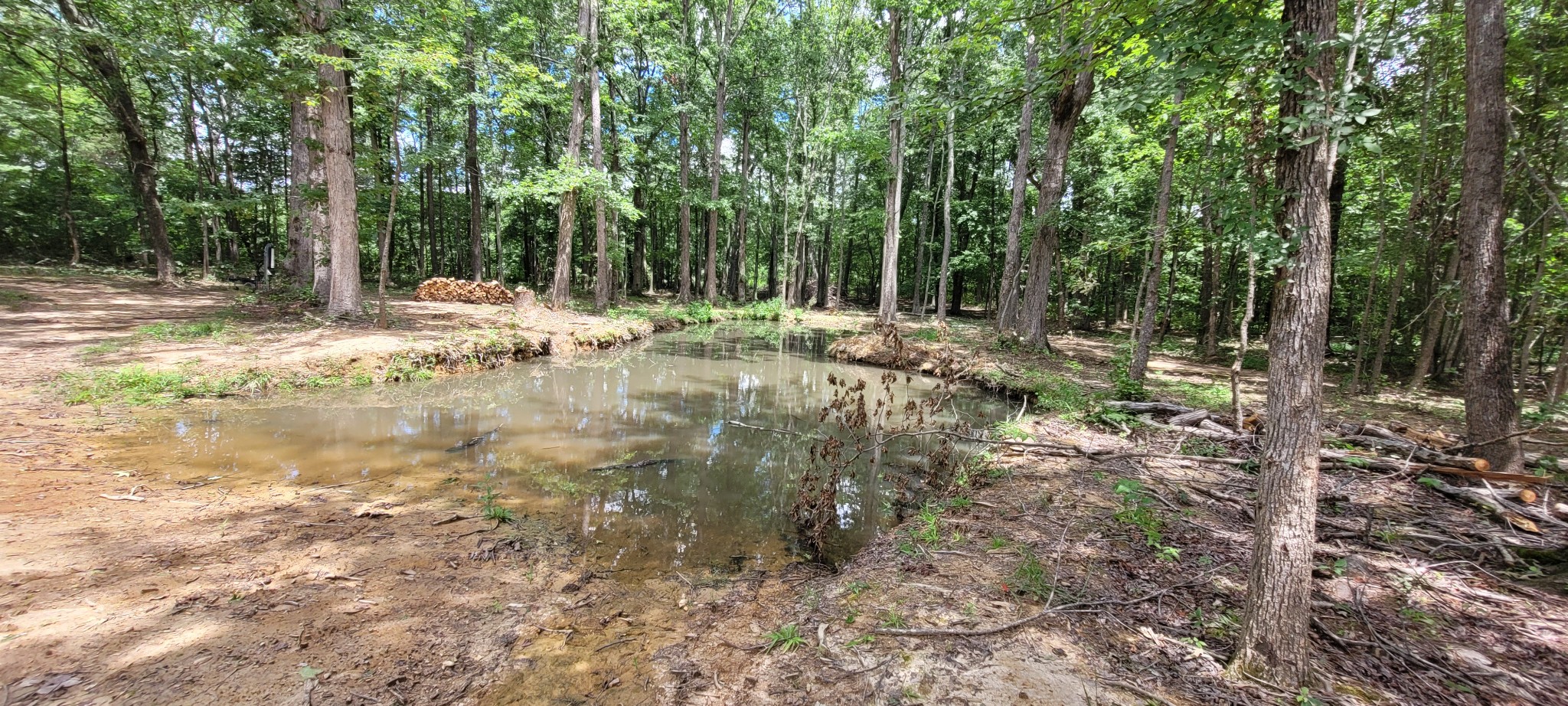167 Freeman Fielder Road Tennessee Ridge, TN 37178 - Photo 36 of 60