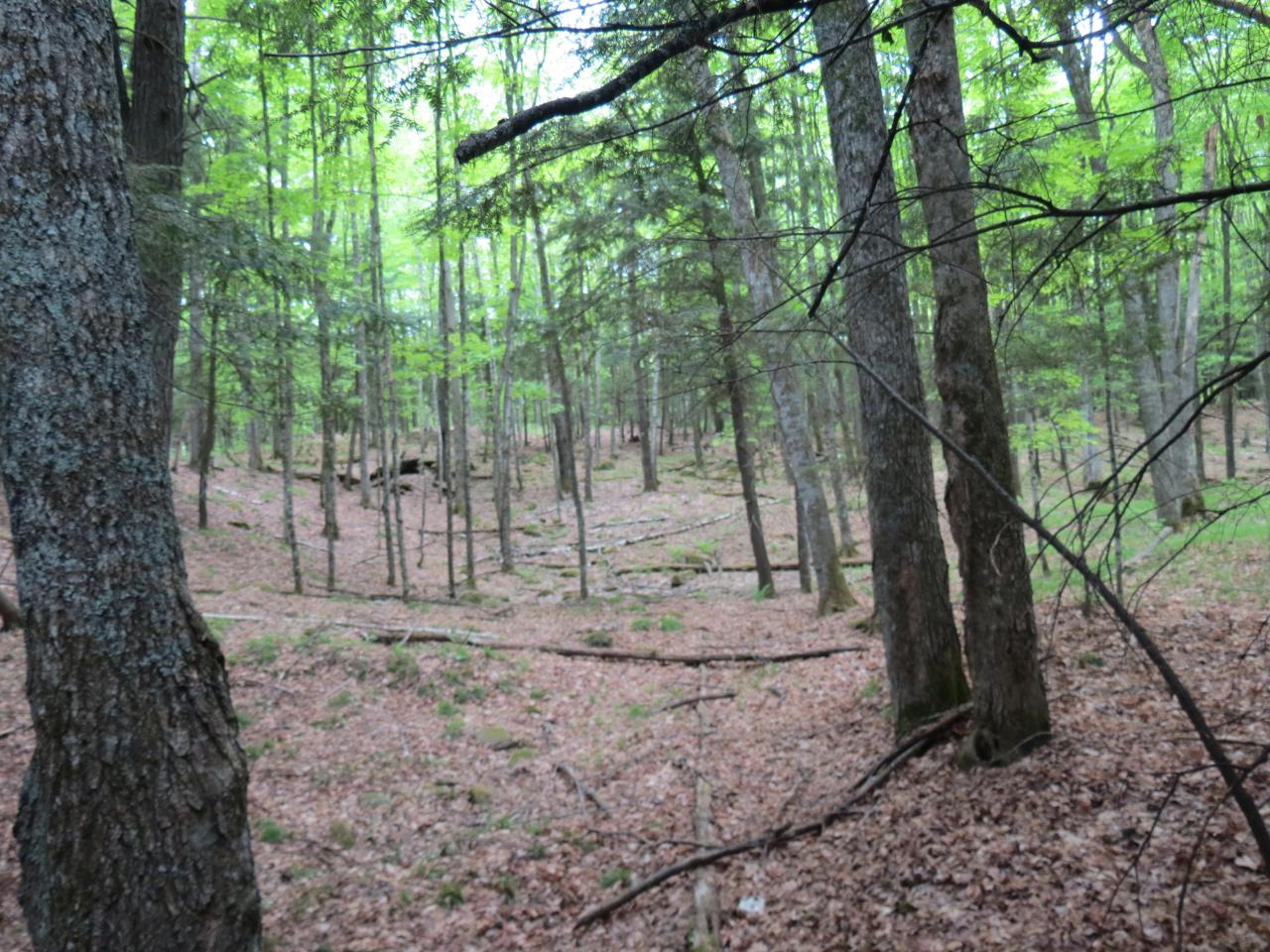 Off Range Line Road Rhinelander, WI 54501 - Photo 6 of 18 Gallery Image 6