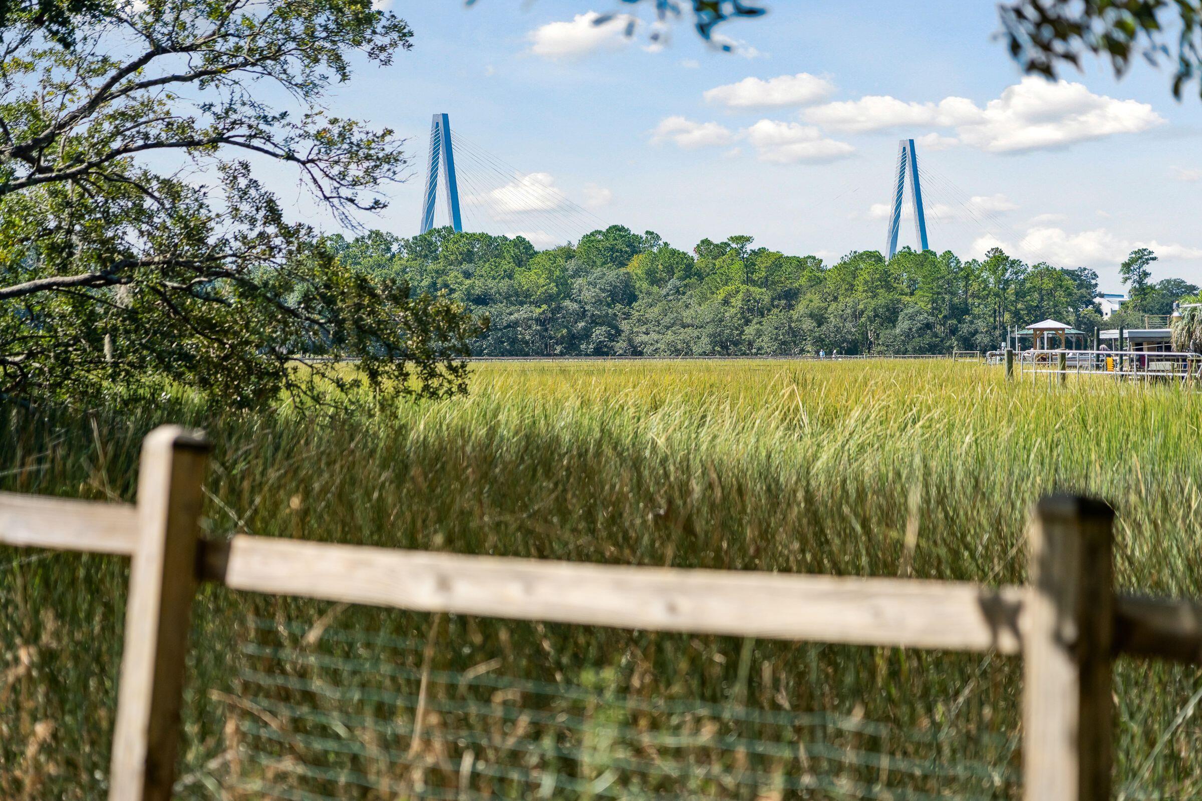 239 Coinbow Circle Mount Pleasant, SC 29464 - Photo 4 of 42 Backyard Views