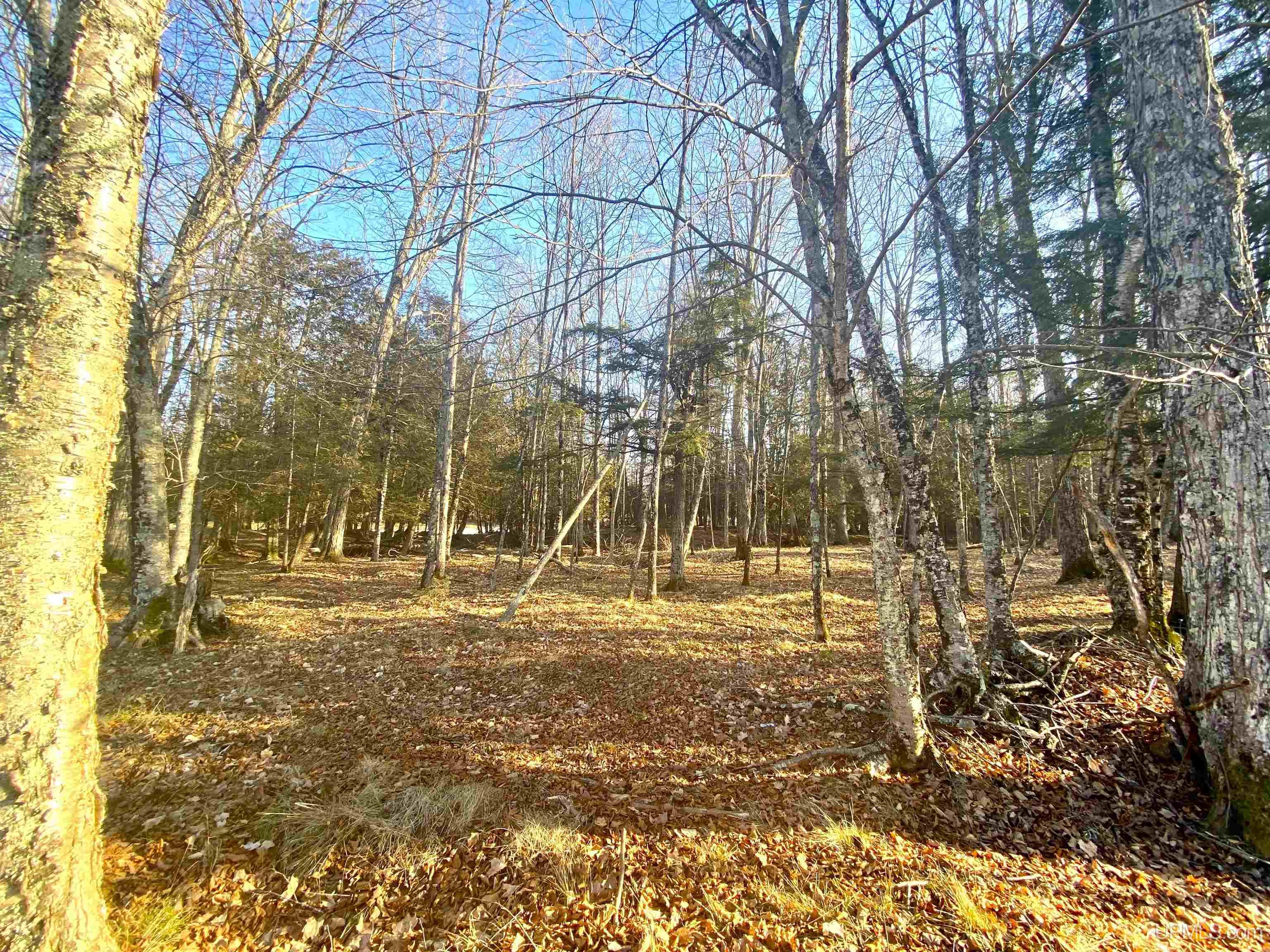 Tbd 18th Road Escanaba, MI 49829 - Photo 8 of 23