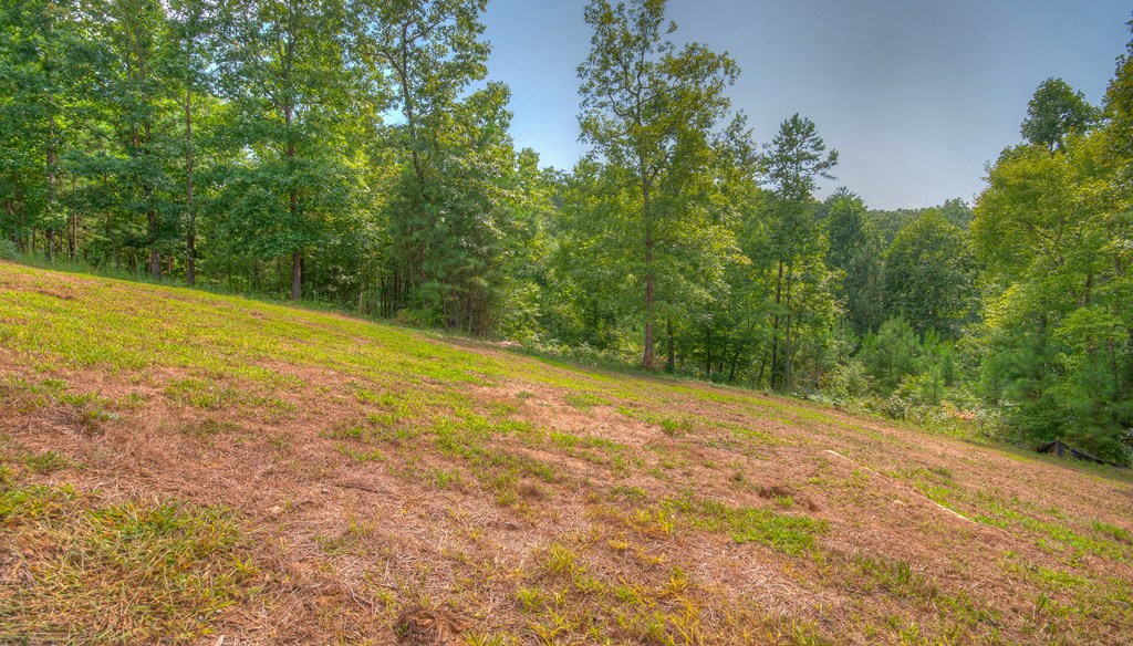 57 Devin Drive Murphy, NC 28906 - Photo 34 of 36 a view of a yard with a tree