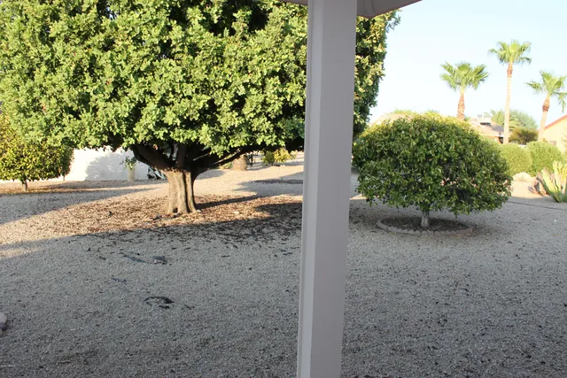 $1,475 | 13814 West Aleppo Drive, Sun City West, AZ 85375