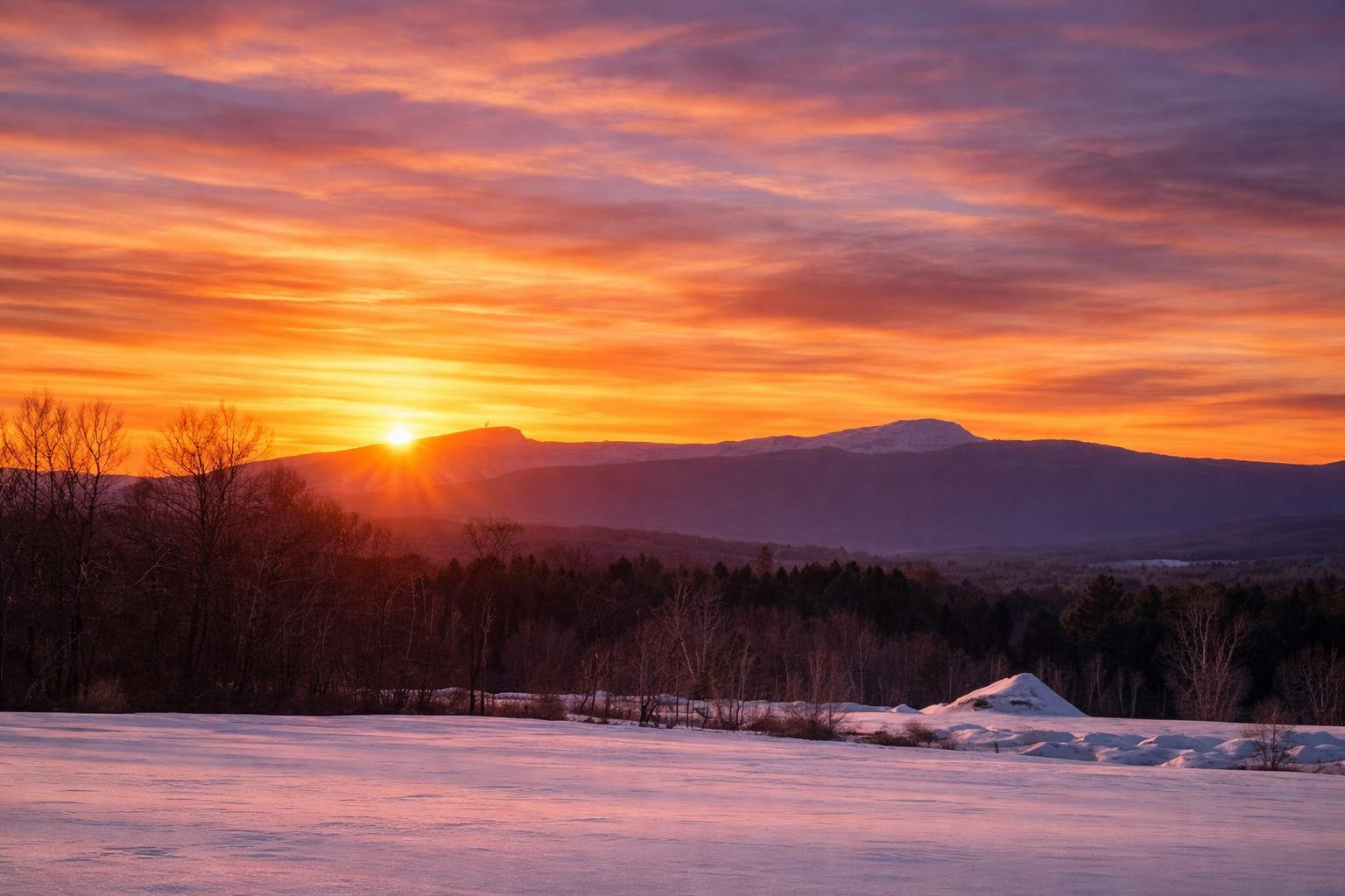 972 Fitzgerald Road, Unit 1 Morristown, VT 05661 - Photo 2 of 10