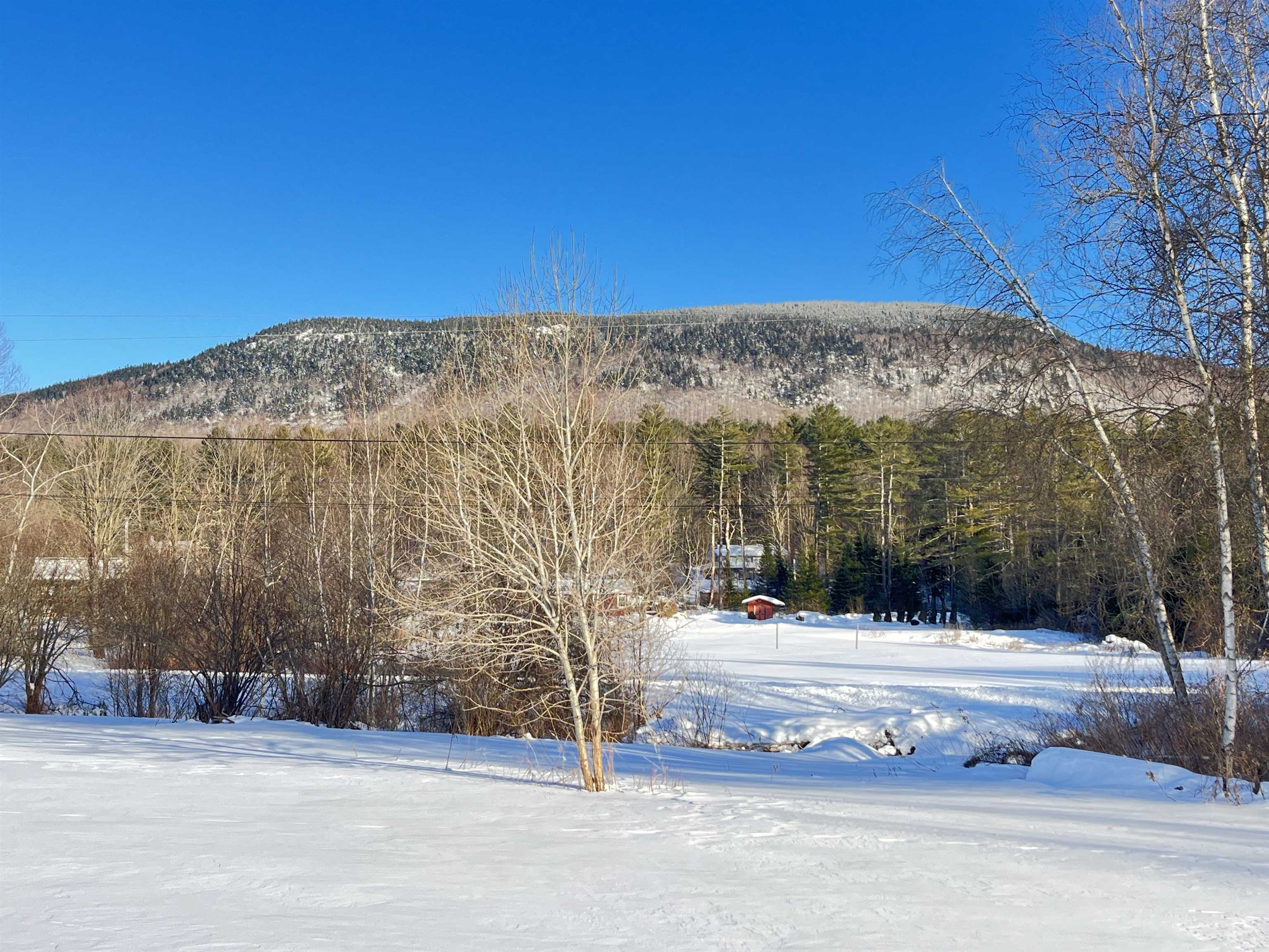 972 Fitzgerald Road, Unit 1 Morristown, VT 05661 - Photo 9 of 10