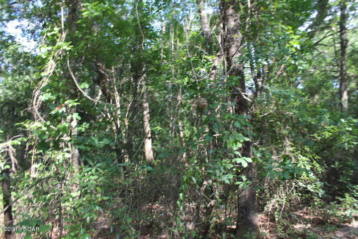 Xxx Wester Road Grand Ridge, FL 32442 - Photo 3 of 7 Gallery Image 3