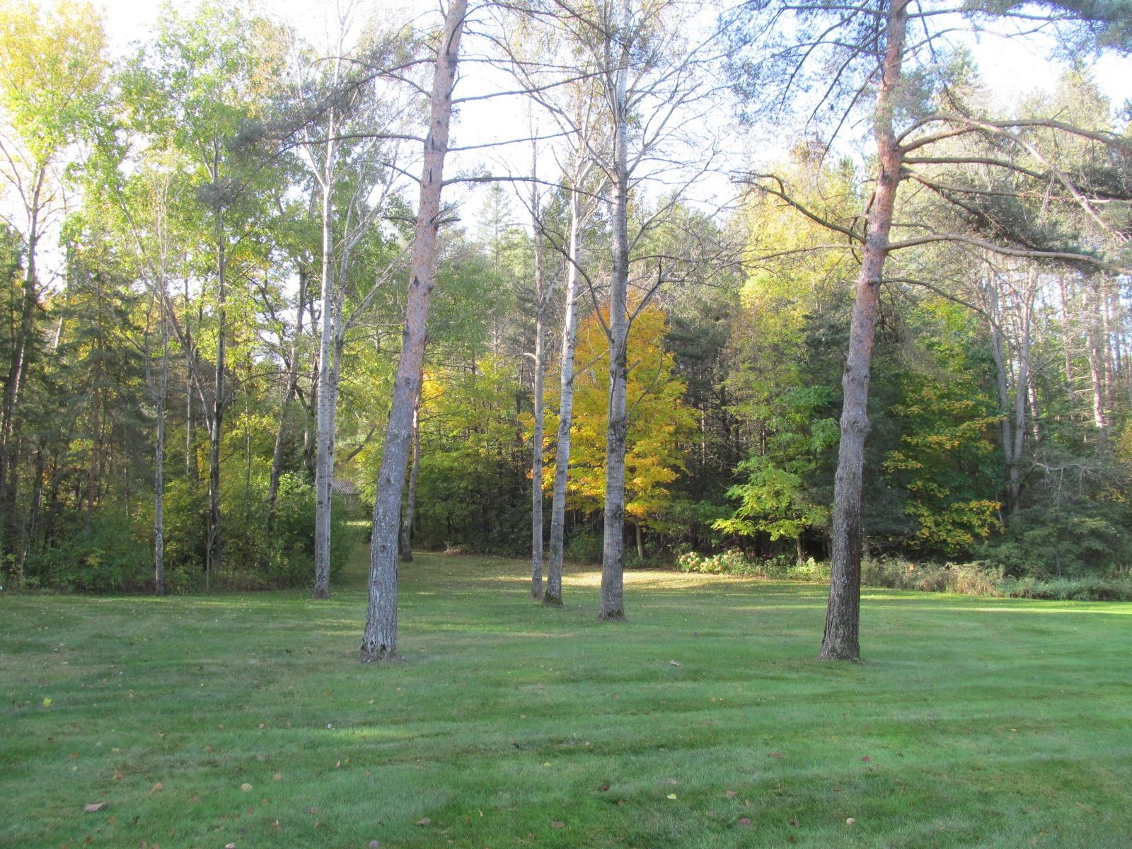 10080 East 50 Road Cadillac, MI 49601 - Photo 31 of 57