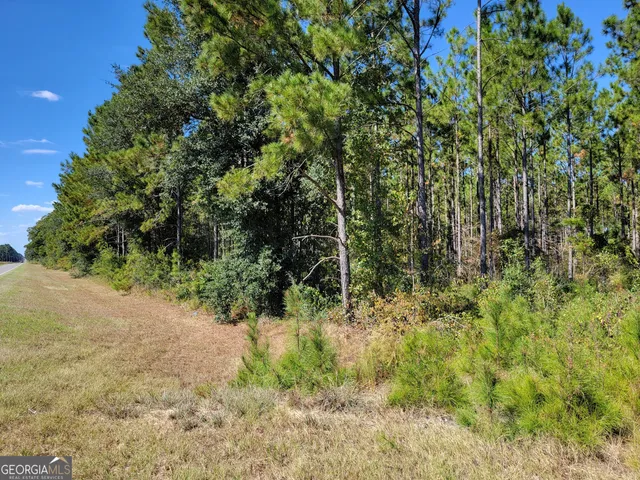 $158,460 | 0 Tuton Road, Baconton, GA 31716