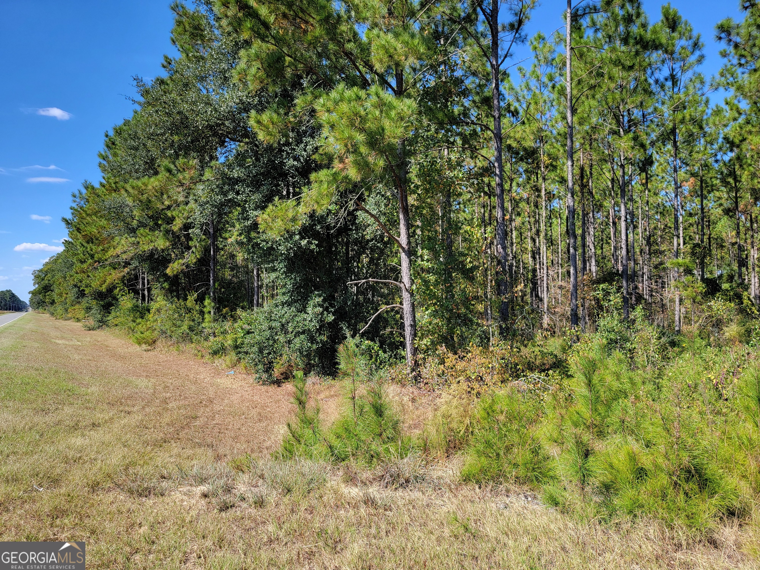 0 Tuton Road Baconton, GA 31716 - Photo 2 of 6