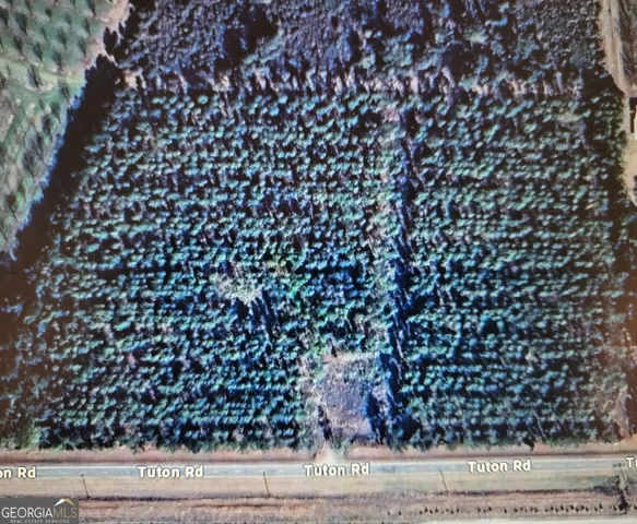 $166,800 | 0 Tuton Road, Baconton, GA 31716